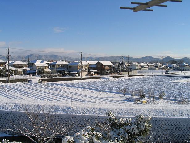 香寺の雪、2011.01.17